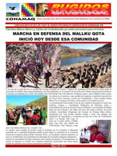 Marcha en defensa del Mallku Qota inició hoy desde esa comunidad (CONAMAQ, 28.5.2012)