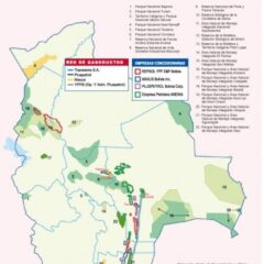 Mapa de concesiones del grupo Repsol YPF y áreas protegidas de interés nacional de Bolivia