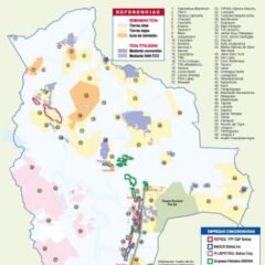 Mapa de concesiones del grupo Repsol YPF y Tierras Comunitarias de Origen en Bolivia