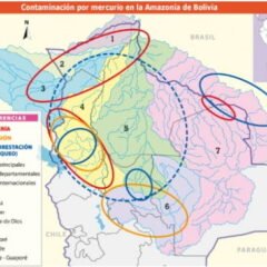 Contaminación por mercurio en la Amazonía de Bolivia