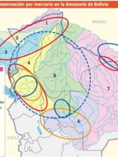 Mapa | Contaminación por mercurio en la Amazonía de Bolivia