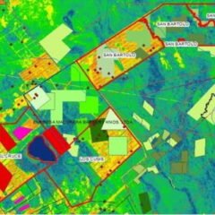 Ostreicher y sus tierras: otro laberinto (17.12.12)