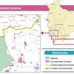 Salares y concesiones mineras (Petropress 30, 1.13)