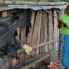 Latinoamérica se desarrolla a costa de los indígenas (Cidob, 28.5.13)