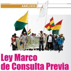 Ley Marco de Consulta Previa. Entre la instrumentalización del derecho y la posibilidad de rearticulación del movimiento indígena originario (Petropress 31, 6.13)