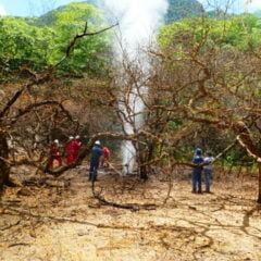 Ventear gas y responsabilidades. Irregularidades en la gestión de una fuga de gas de YPFB en el Parque Nacional Aguaragüe