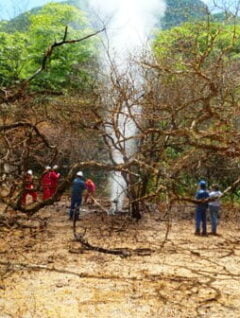 Ventear gas y responsabilidades. Irregularidades en la gestión de una fuga de gas de YPFB en el Parque Nacional Aguaragüe
