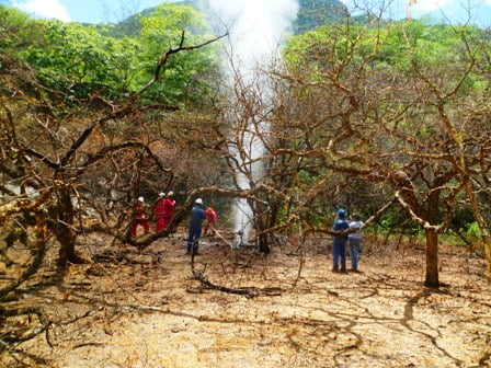 Ventear gas y responsabilidades. Irregularidades en la gestión de una fuga de gas de YPFB en el Parque Nacional Aguaragüe