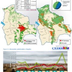 Un futuro insostenible. Una mirada desde las tierras bajas (Petropress 32, 12.13)