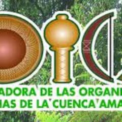 Declaración de Santa Cruz COICA (Coordinadora de organizaciones indígenas Cuenca del Amazonas) 14.06.2014