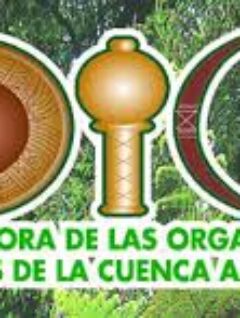 Declaración de Santa Cruz COICA (Coordinadora de organizaciones indígenas Cuenca del Amazonas) 14.06.2014