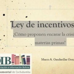 Ley de incentivos 767 ¿Cómo proponen encarar la crisis de las materias primas? (3.2.16)