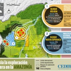 Hacia la consolidación de la  Amazonía petrolera: El Decreto Supremo 2549