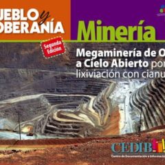 Megaminería de oro a cielo abierto por lixiviación con cianuro | Pueblo y Soberanía