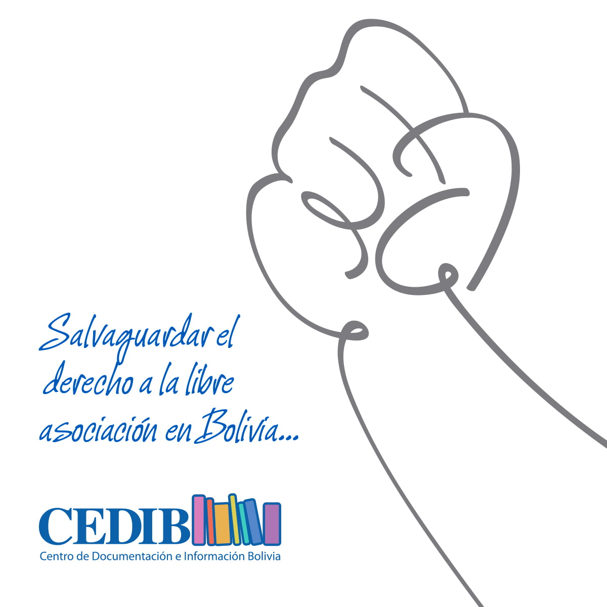 Una petición a la CIDH para salvaguardar el derecho a la libre asociación en Bolivia