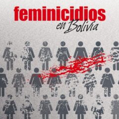 Feminicidios en Bolivia: Base de datos