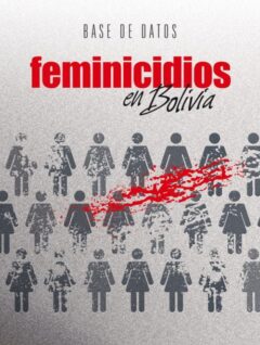 Feminicidios en Bolivia: Base de datos
