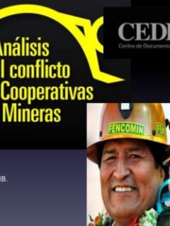 Relación del sector cooperativo minero con el Gobierno