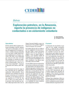 Prevenir un Etnocidio la obligación del Estado frente a informes de Indígenas no contactados