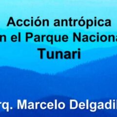 Acción antrópica en el Parque Nacional Tunari (M. Delgadillo)