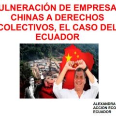 Vulneración de empresas chinas a derechos colectivos. El caso del Ecuador