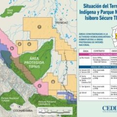 Áreas concesionadas a la actividad hidrocarburífera cerca del TIPNIS