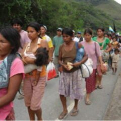 Respuesta de las mujeres Indígenas del TIPNIS frente a las acusaciones que hace el Presidente Evo Morales Ayma a las ONGs (5.9.17)