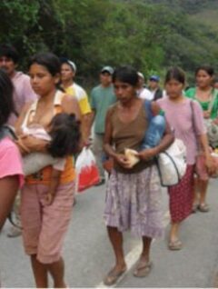 Respuesta de las mujeres Indígenas del TIPNIS frente a las acusaciones que hace el Presidente Evo Morales Ayma a las ONGs (5.9.17)