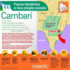 Cambarí: Proyectos hidroeléctricos en áreas protegidas de Bolivia