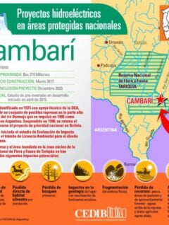 Cambarí: Proyectos hidroeléctricos en áreas protegidas de Bolivia