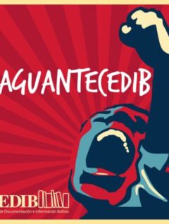 Redes y Organizaciones Internacionales: DECLARACIÓN PUBLICA DE APOYO AL CEDIB