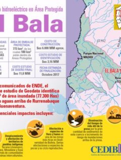 El Bala: Proyecto hidroeléctrico en área protegida