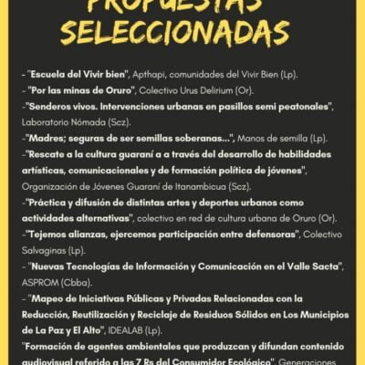 Proyectos seleccionados #MicrosParaAvanzar