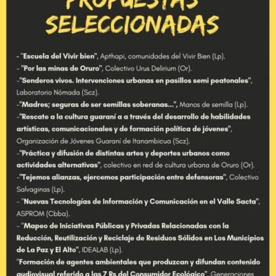 Proyectos seleccionados #MicrosParaAvanzar