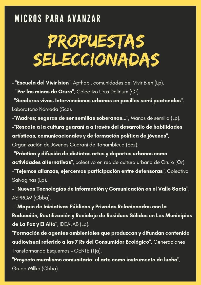 Proyectos seleccionados #MicrosParaAvanzar