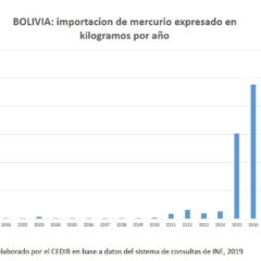 Bolivia: importación de mercurio expresado en kilogramos por año