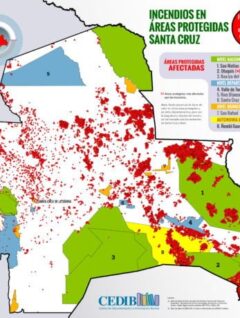 Mapa: Incendios en áreas protegidas (2 al 27 de agosto 2019)