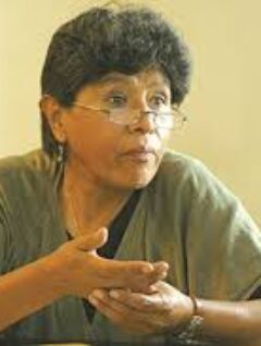 Extractivismo e información: los límites del desarrollo (Virginia Ayllón, Sep.2019)