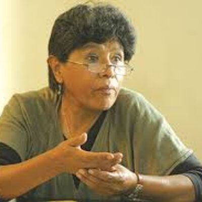 Virginia Ayllón: Extractivismo e información: los límites del desarrollo