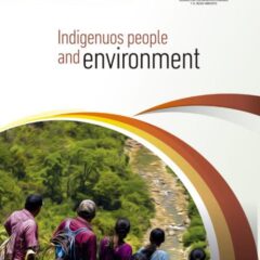 Pueblos indígenas y medio ambiente | Informe EPU tercer ciclo Bolivia 2019