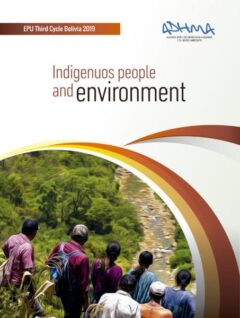 Pueblos indígenas y medio ambiente | Informe EPU tercer ciclo Bolivia 2019