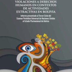 Violaciones a Derechos Humanos en contexto de actividades extractivas en Bolivia. Informe presentado al tercer ciclo del Examen Periódico Universal de NNUU al Estado Plurinacional de Bolivia