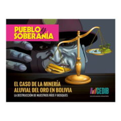 Minería aluvial de oro en Bolivia. La destrucción de nuestros bosques