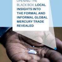 Opening the black box: Local insights into formal and informal global mercury trade revealed Copiar
