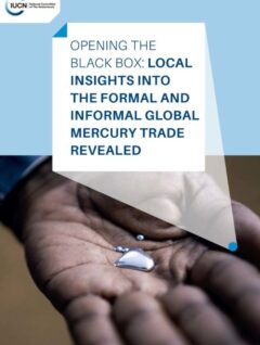 Opening the black box: Local insights into formal and informal global mercury trade revealed Copiar