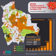 Mapa casos positivos de coronavirus y Tierras Comunitarias de Origen, TCOs (20.5.20)