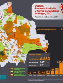 Mapa casos positivos de coronavirus y Tierras Comunitarias de Origen, TCOs (20.5.20)