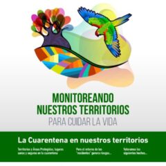 Monitoreando nuestros territorios para cuidar la vida – Boletín CONTIOCAP #1