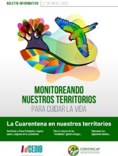 Monitoreando nuestros territorios para cuidar la vida – Boletín CONTIOCAP #1