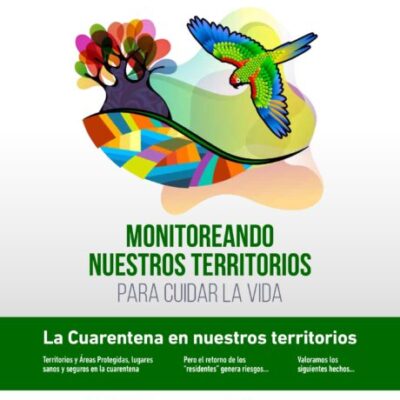 Monitoreando-Boletin01-1-min